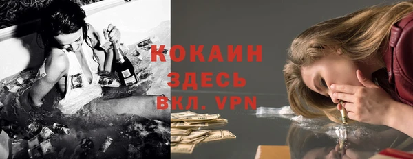 прущая мука Ельня