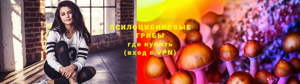 прущая мука Ельня