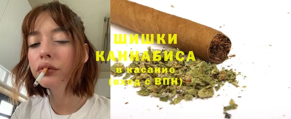 мяу мяу мука Елабуга