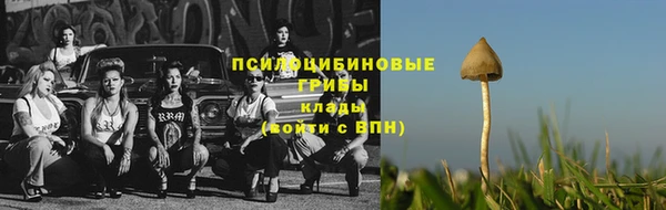 мяу мяу мука Елабуга