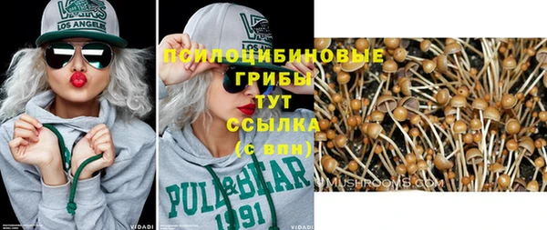 мяу мяу мука Елабуга