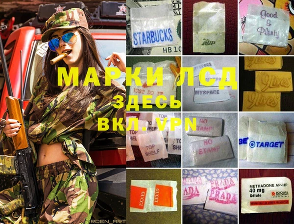 прущая мука Ельня