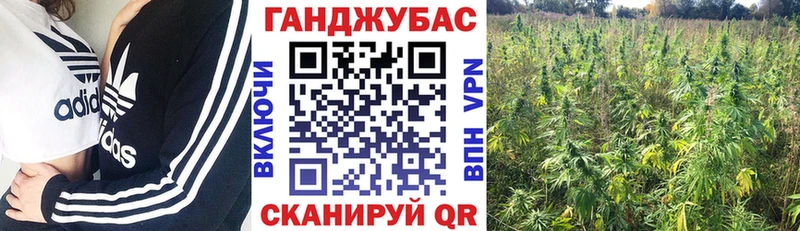 Купить закладки  Рассказово  Бошки Шишки индика 